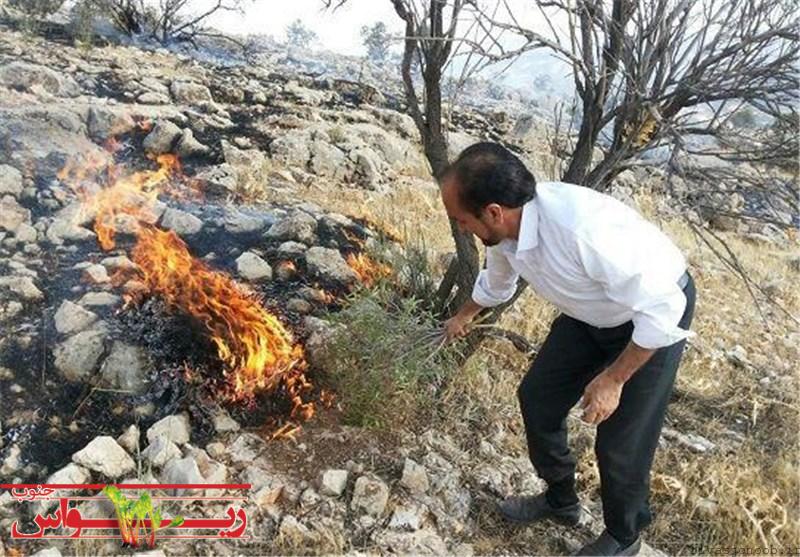 آتش سوزی و جنگلبان