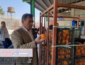 قدرت الله ویسی