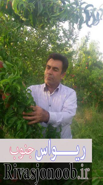 قدرت الله ویسی