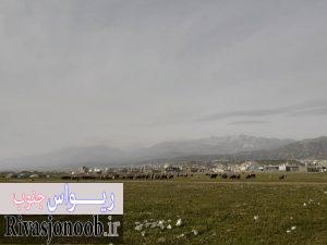 عشایر