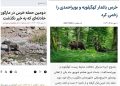 تیترهای هیجانی و القا ترس از حیات وحش به جامعه/حیات وحشی که هر روز مظلوم تر میشود/آگاهی بخشی حلقه گمشده برخوردهای میان انسان و حیات وحش