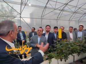 مدیر جوان بانکی کهگیلویه و بویراحمد