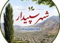 سرمایه‌گذارانی که فقط لاف می‌زنند؛ سه میدان درآمدزا برای آنهایی که ادعا دارند؛ این گوی و این میدان