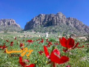 آبشار پای تف نورآباد ممسنی در شهرستان رستم