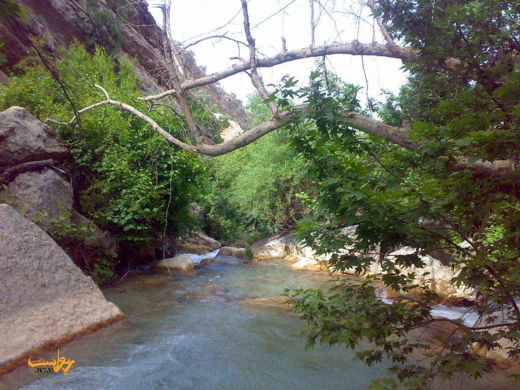 تنگ گجستان در نورآباد ممسنی استان فارس