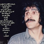 حسین پناهی انسان والایی بود